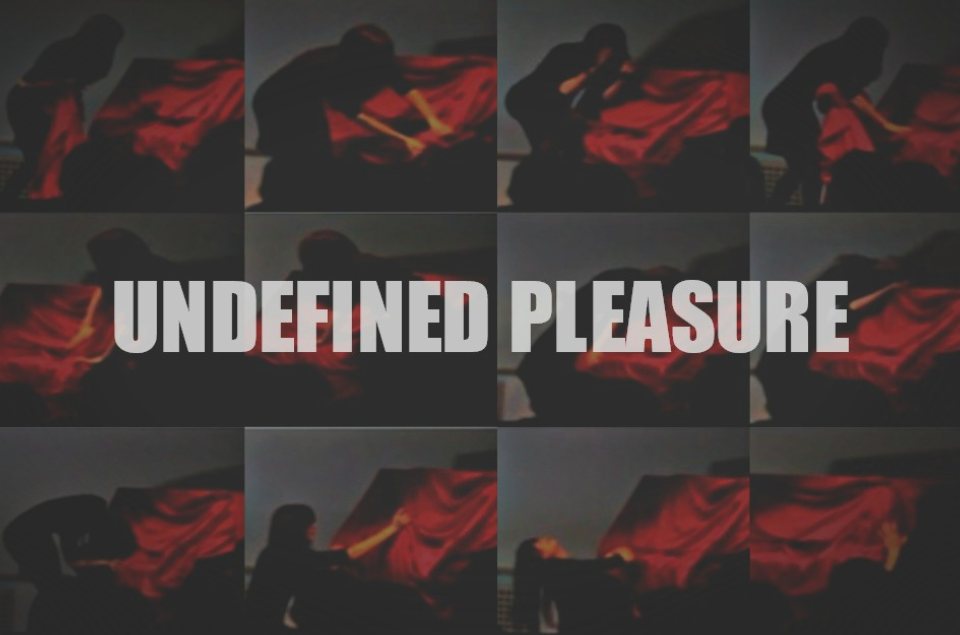 Undefined Pleasure